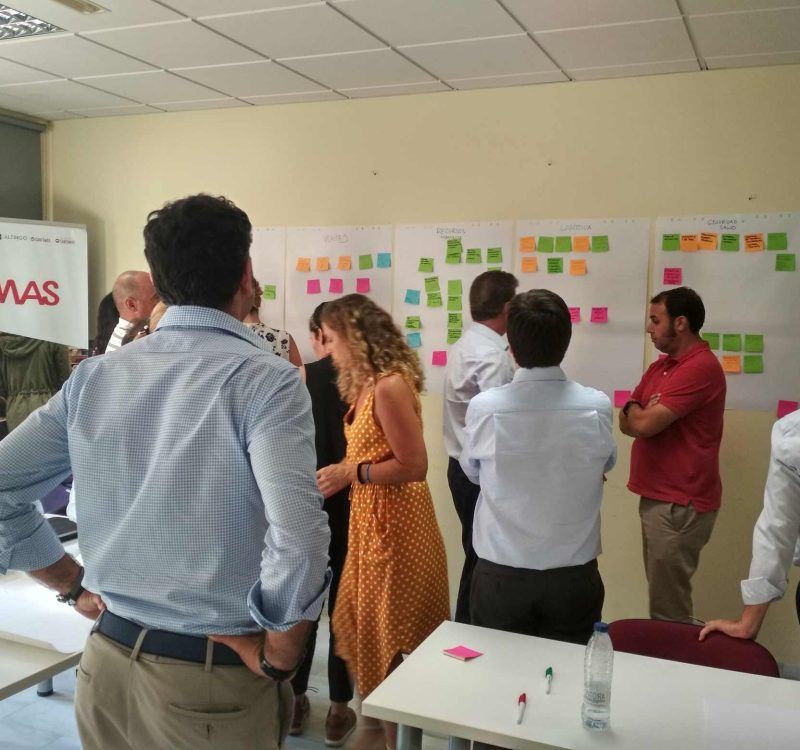 Equipo directivo trabajando con un experto en sostenibilidad en la implantación de estrategias ESG dentro de una empresa.